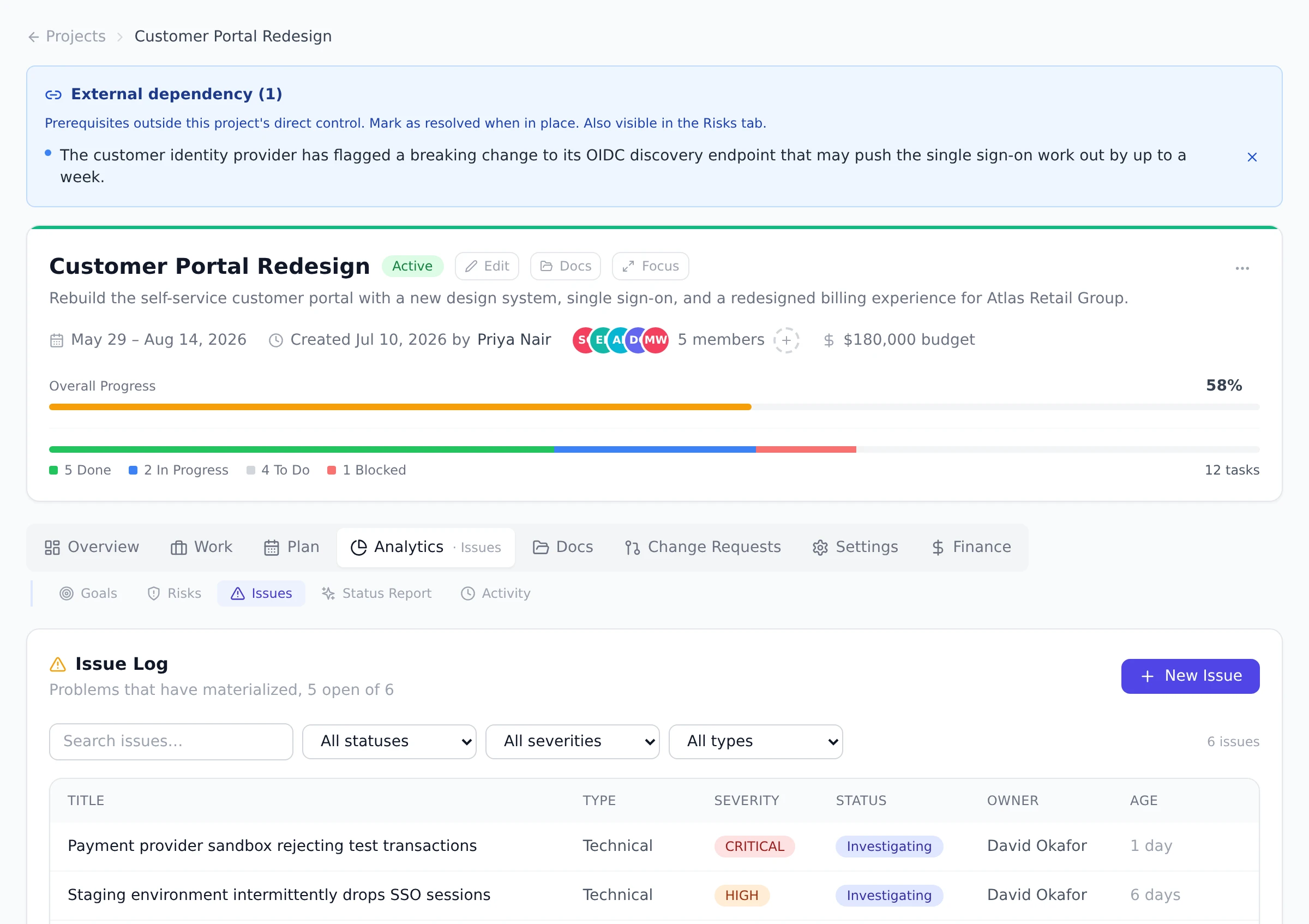 The Issue Log tab of a project listing two open issues with type, severity, status, owner, and age columns, plus filters and a New Issue button.